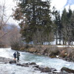 ultime Foto, salüdi