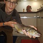 Trota catturata con il Bamalo dopo un bel combattimento a La Boca.